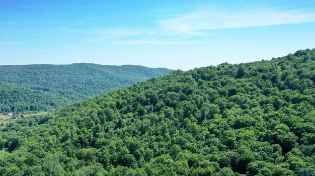 1.67 Acres in Hancock, NY