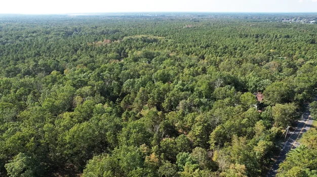 5 Acres in Mullica Twp, NJ