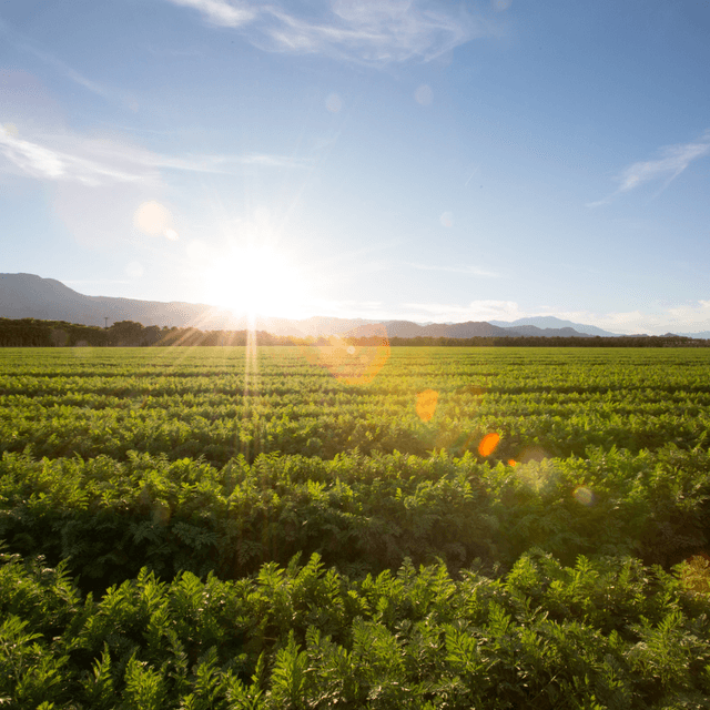 Step 1: Discover Available Land